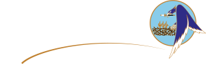 MOODLE ECOLE DE L'AIR ET DE L'ESPACE 2025-2026