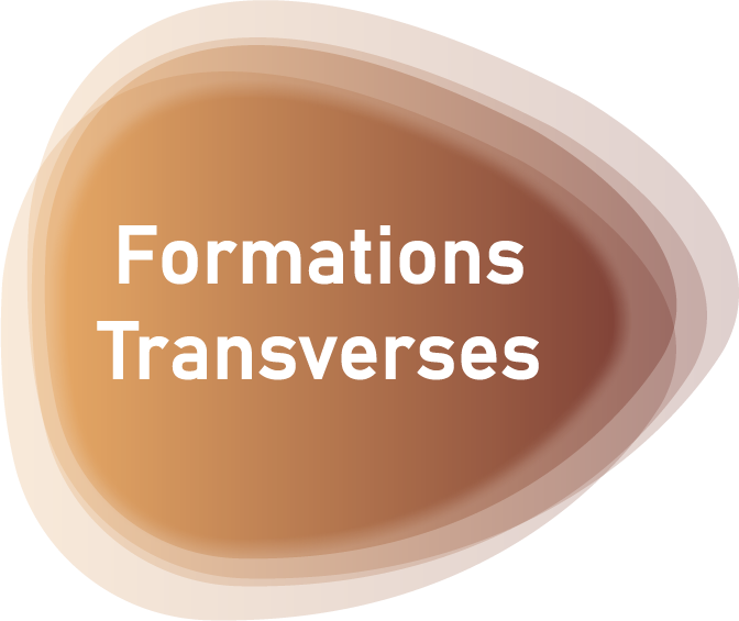 Formations transverses